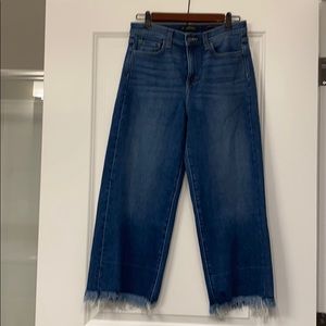 Banana Republic Wide Leg Jean